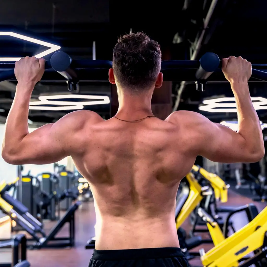 Trainingsprogramm für einen starken und definierten Rücken
